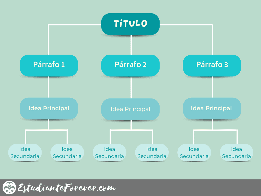 Cómo Hacer Un Mapa Conceptual Sencillo - estudianteforever.com